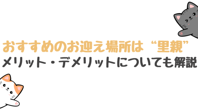 おすすめのお迎え場所は”里親” | メリット・デメリットについても解説