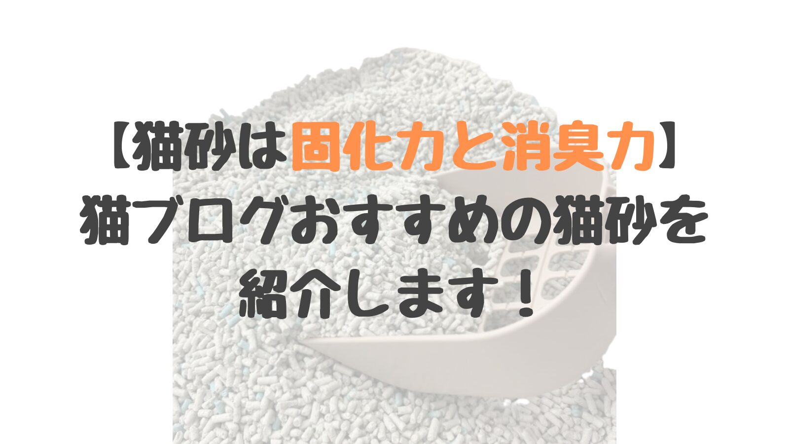 【猫砂は固化力と消臭力】猫ブログおすすめの猫砂を紹介します！