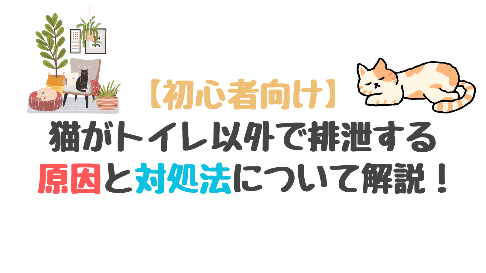 【初心者向け】猫がトイレ以外で排泄する｜原因と対処法について解説します