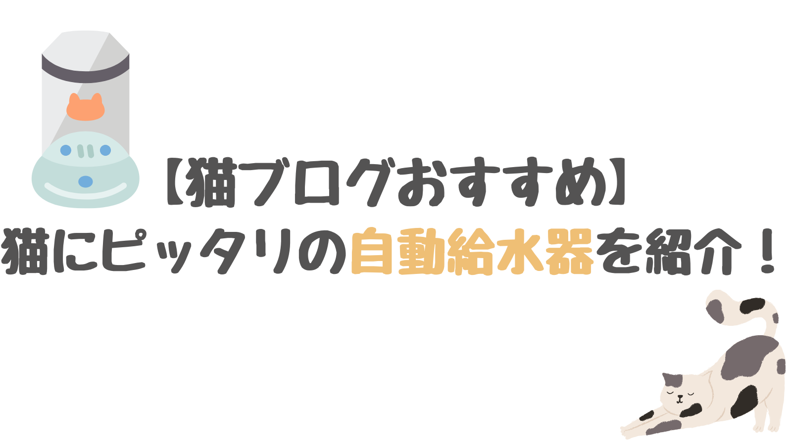 【2024年最新】猫ブログおすすめの自動給水器を紹介！